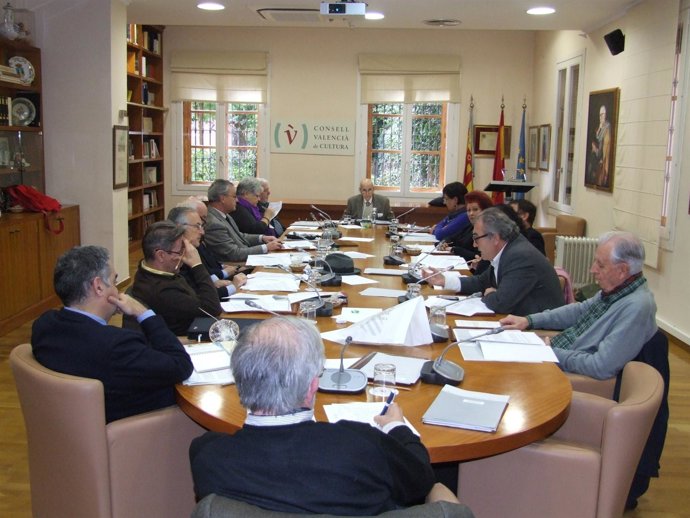 Pleno del CVC