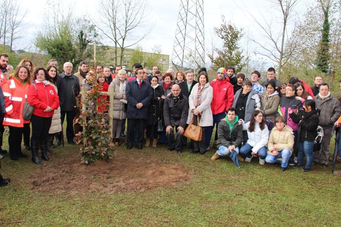 Plantación del árbol en el Bosque de la Solidaridad
