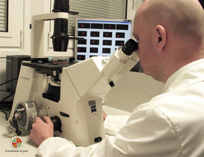 El investigador José Juan Gaforio