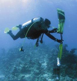 Biodiversidad, mares, Azti