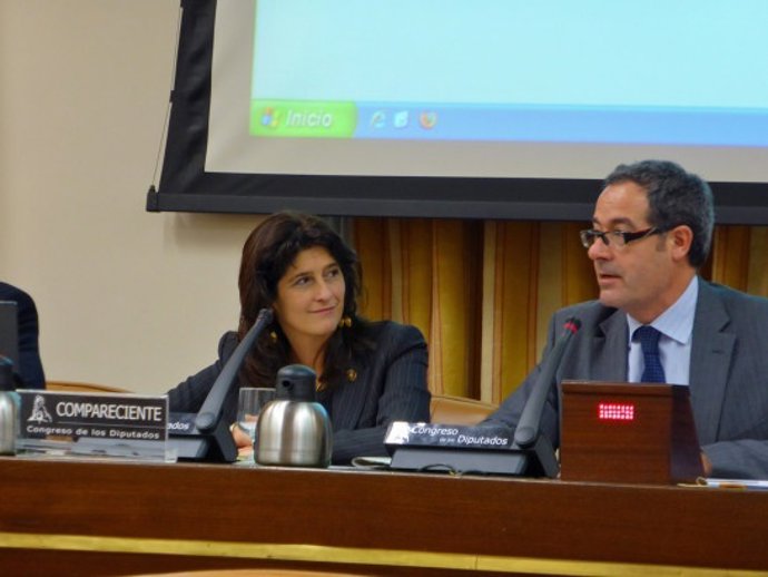 Carmen Dueso en la Comisión de Seguridad Vial del Congreso