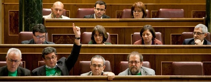Grupo Parlamentario de la Izquierda Plural en el Congreso