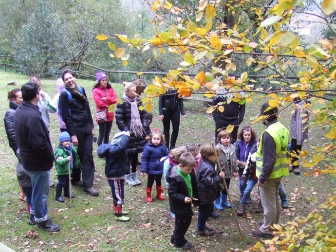 Actividad en el bosque