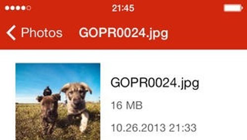 MEGA para iOS ya está disponible