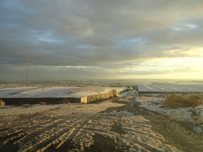 Nieve en los invernaderos del Poniente de Almería
