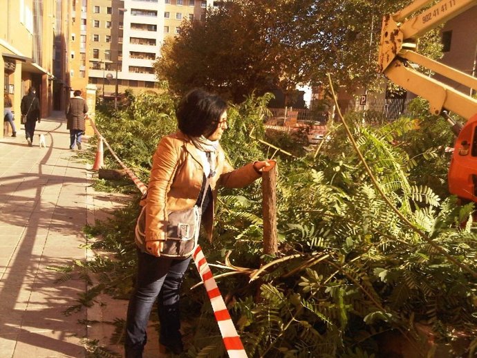 Tala en la calle Avicena.
