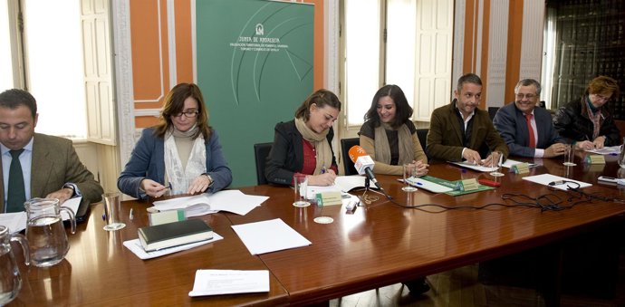 La consejera de Fomento y Vivienda, Elena Cortés