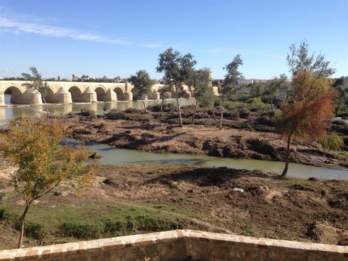 Una de las islas de los Sotos de la Albolafia tras la actuación