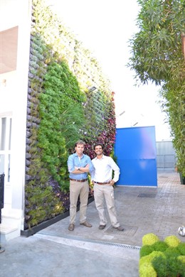 Jardín vertical del colegio.