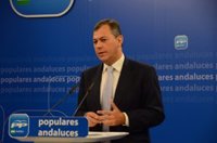 Sanz descarta congreso extraordinario en el PP-A antes de fin de año