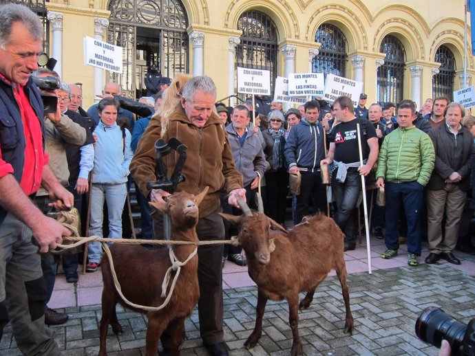 Protestas de ganaderos en Oviedo.