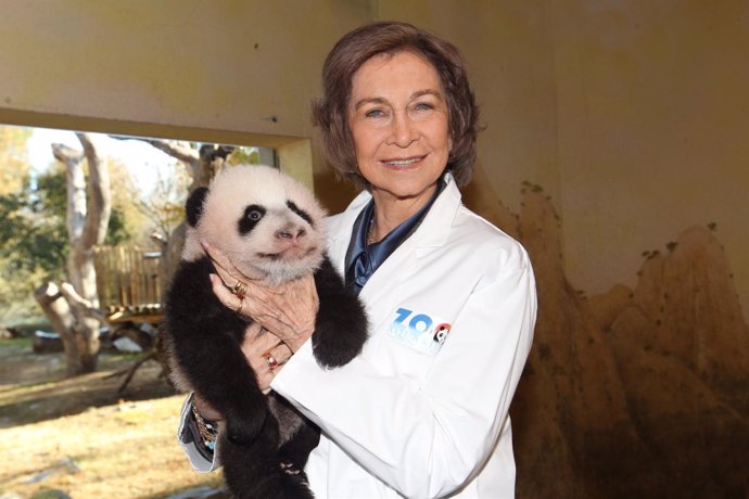 La Reina con oso panda