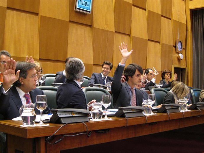 El grupo del PP ha votado en contra