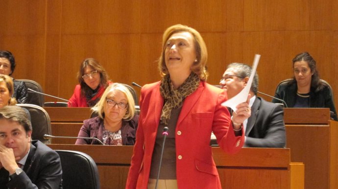 Luisa Fernanda Rudi, en el pleno