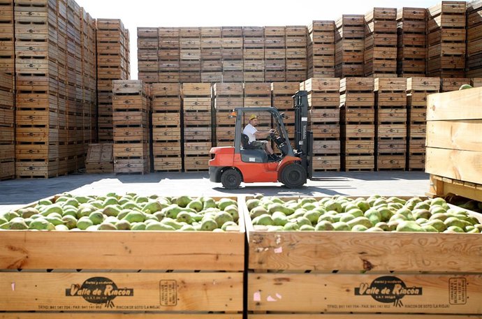 Peras de Rincón de Soto