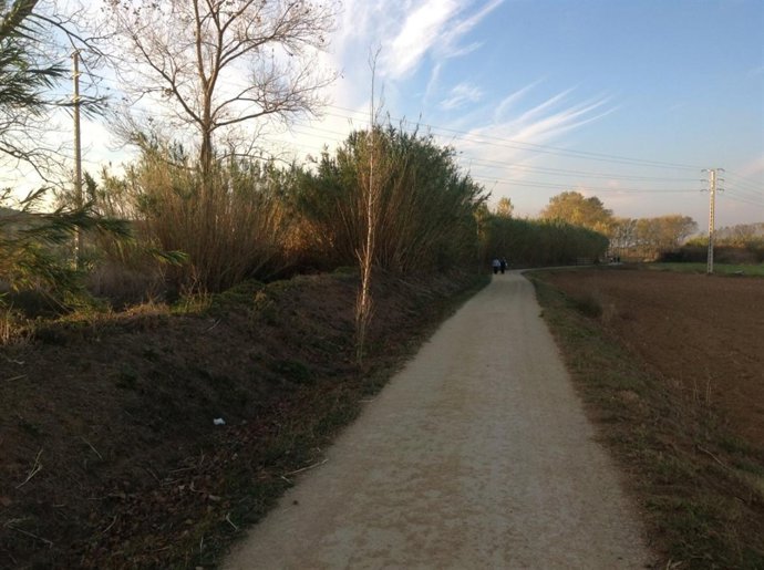 Carril bici en Palafrugell  tras la mejora en la red eléctrica