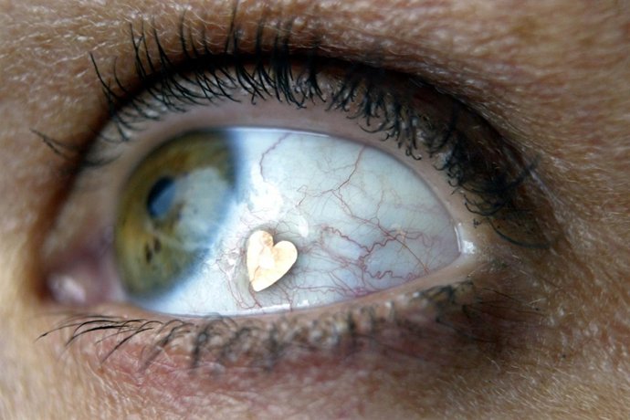 Dutch woman Deborah Boer models the "Jewel Eye" in her hometown Driebergen, the 