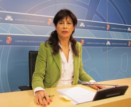 La viceportavoz del Grupo Socialista analiza las enmiendas a la Reforma Local