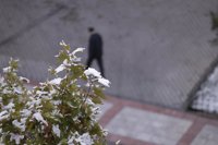 El Semas ha atendido esta semana a 14 personas por el frío