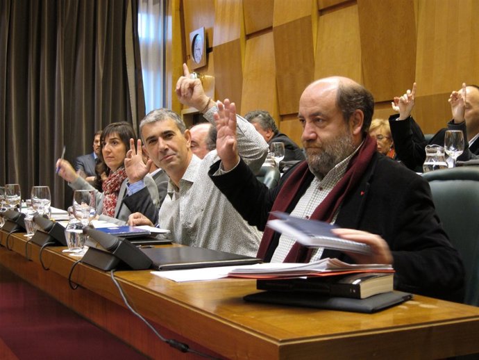 Concejales de IU y CHA votando en el pleno