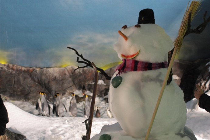 Campamentos de Navidad de Faunia