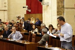 Castro, En El Pleno Del Parlamento