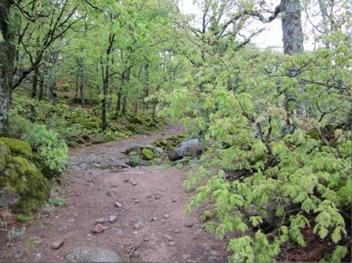 Reserva Natural Garganta de los Infiernos, Extremadura