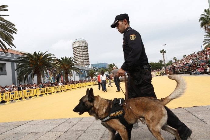 Evento Un Día de Perro 3