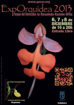 Cartel de ExpOrquídea 2013