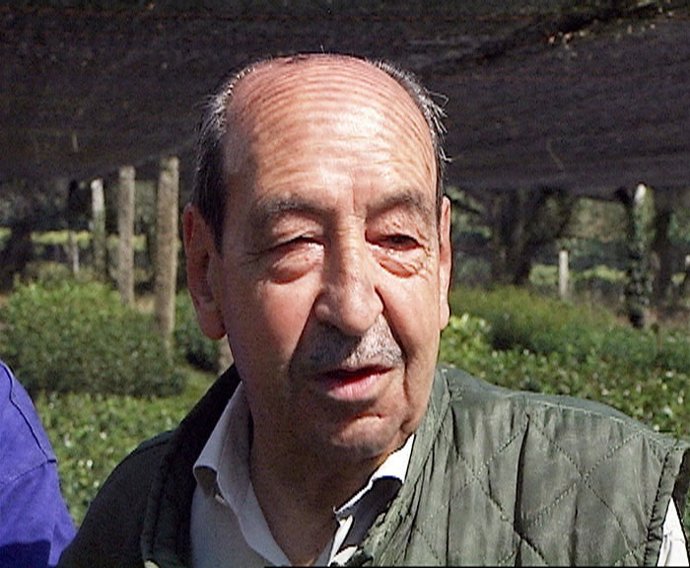 El general Alfonso Armada 