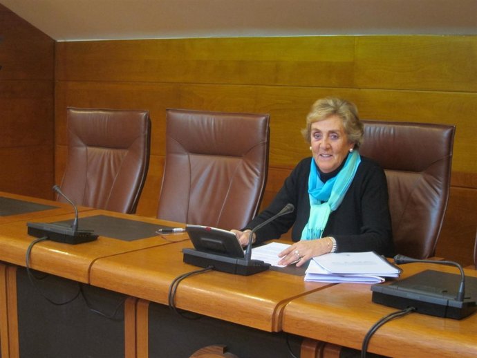 La diputada del PSOE en el Parlamento cántabro Cristina Pereda