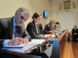 Carcedo, durante su intervención en la comparecencia. 