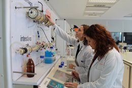 Digestor dinámico in Vitro de ainia (aparato digestivo artificial) 