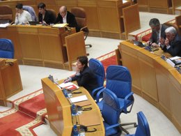 Rocío Mosquera en el Parlamento