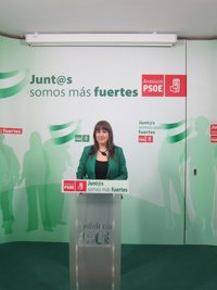 Armario (PSOE-A) rechaza que "se criminalice" a los sindicatos y "se inicie una campaña de desprestigio"