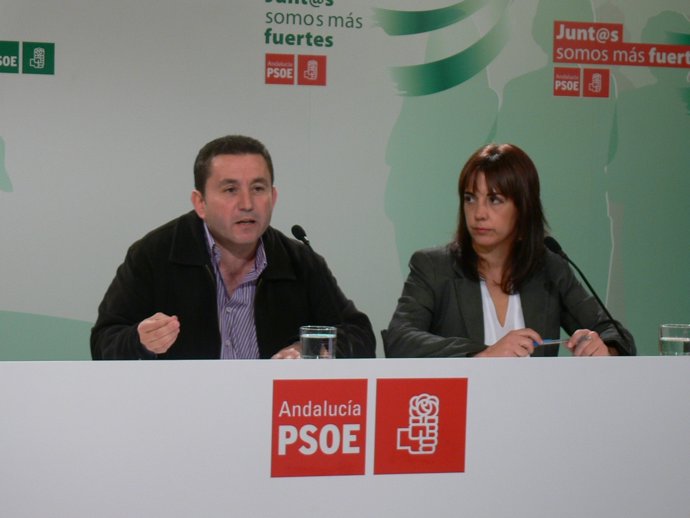 Rueda de prensa en el PSOE de Granada