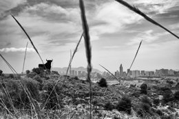 Fotografía de Samuel Aranda 'Spanish crisis'