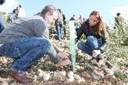 Campaña de reforestación Siembra vida. Cuida Baleares'