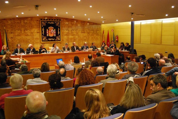 Pleno de Torrelodones
