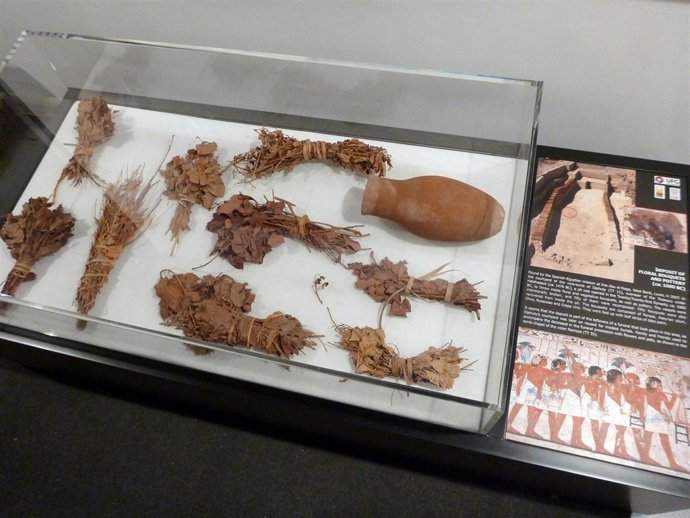 Flores funerarias expuestas en el Museo de Luxor