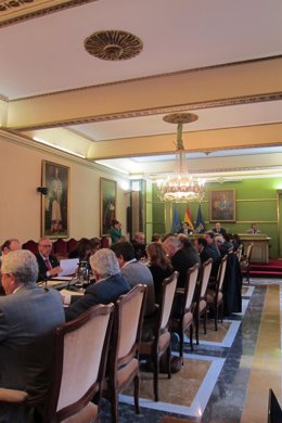 Plebno del Ayuntamiento de Oviedo en noviembre de 2013
