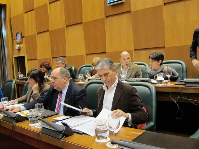 El portavoz de CHA, Juan Martín