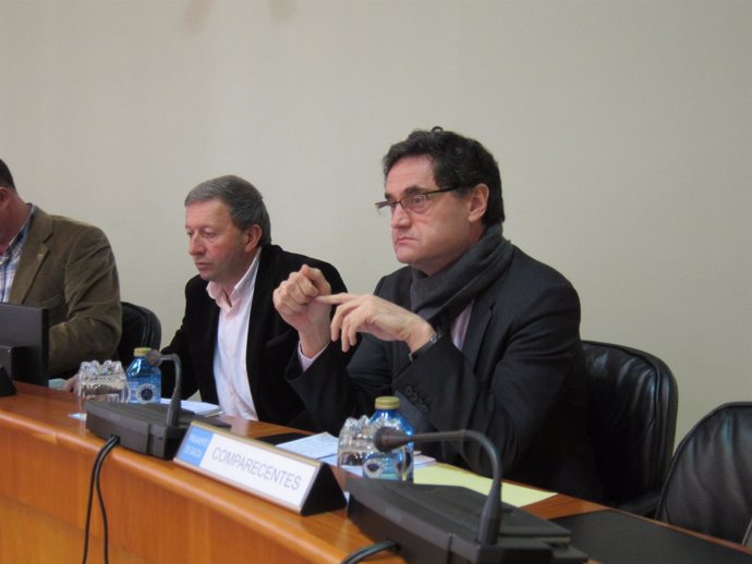 Tomás Fernández-Couto en comisión.