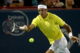 Juan Martin del Potro