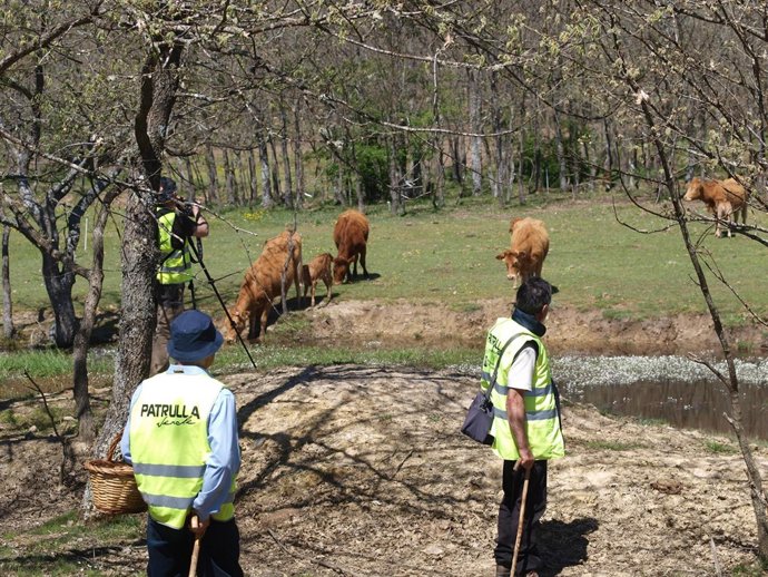 Imagen de una salida de la 'Patrulla verde'