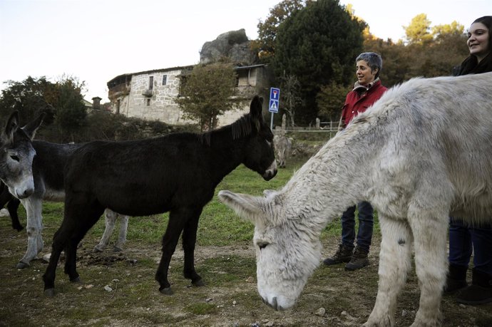 Asociación Andrea que realiza asinoterapia y elabora jabones con leche de burra