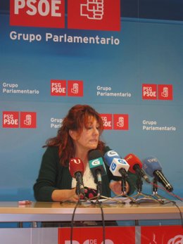 Carmen Acuña, portavoz de Sanidade del Grupo Parlamentario Socialista
