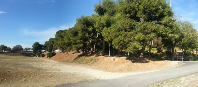 Integración de una red de Endesa en las instalaciones deportivas de la UB