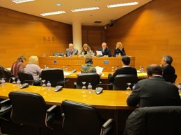 Cmisión de Economía en las Corts