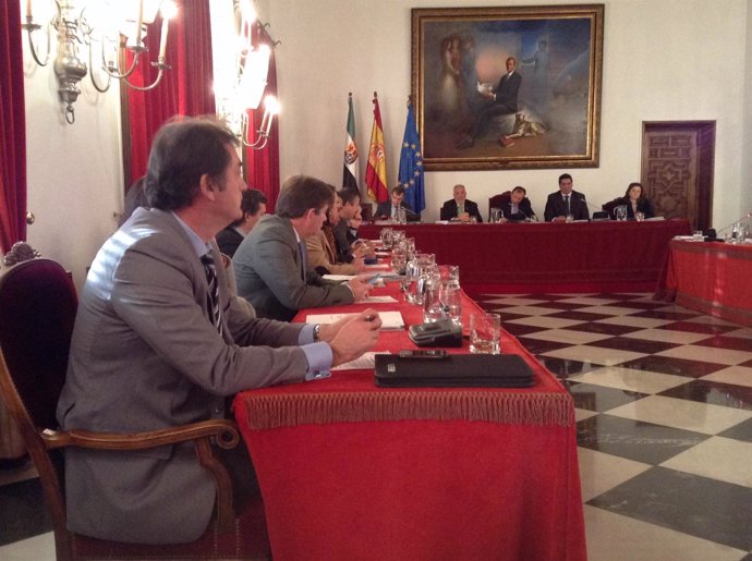 Pleno De La Diputación Provincial De Cáceres